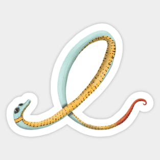 E - Ring-necked snake Sticker